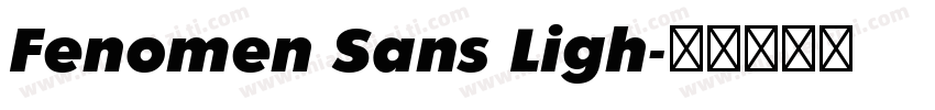 Fenomen Sans Ligh字体转换